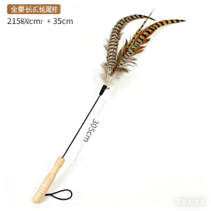 雉雞尾羽天然羽毛逗貓棒